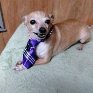 Meet your Posher, Celeste